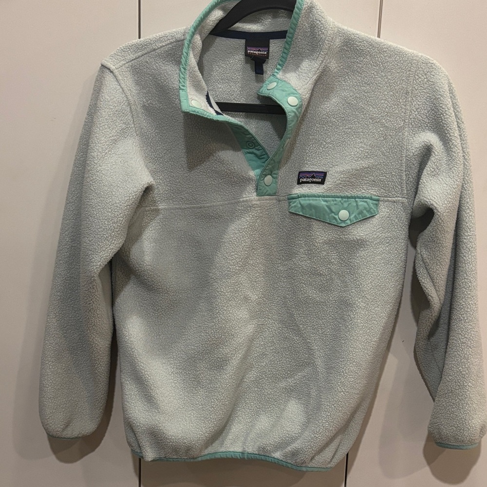 Patagonia kids Synchilla Fleece Sweater - size L(12)